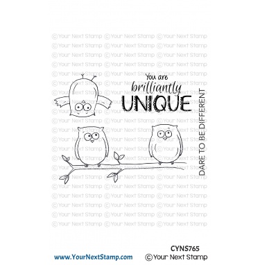 Quirky Fun Owls