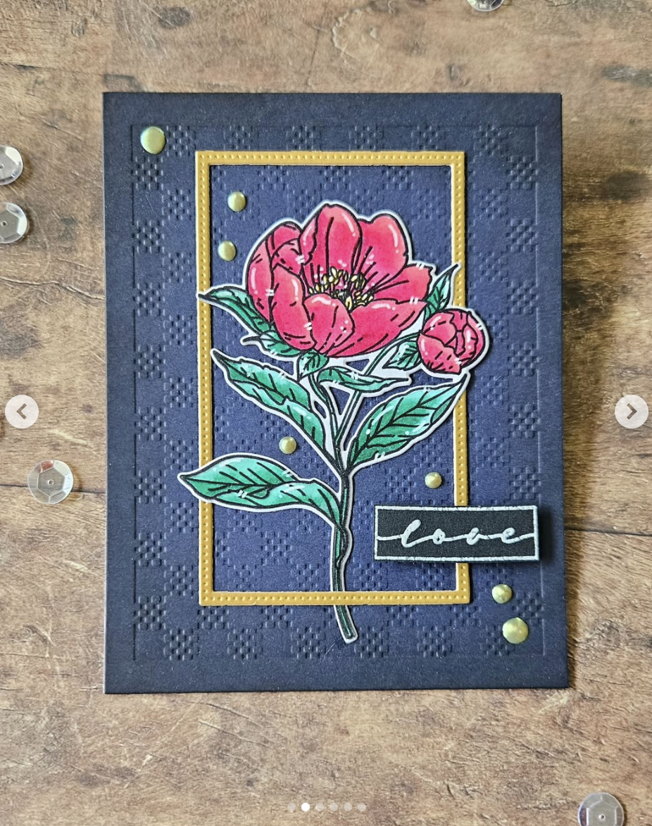 Peony - September Birth Flower Peony - September Birth Flower