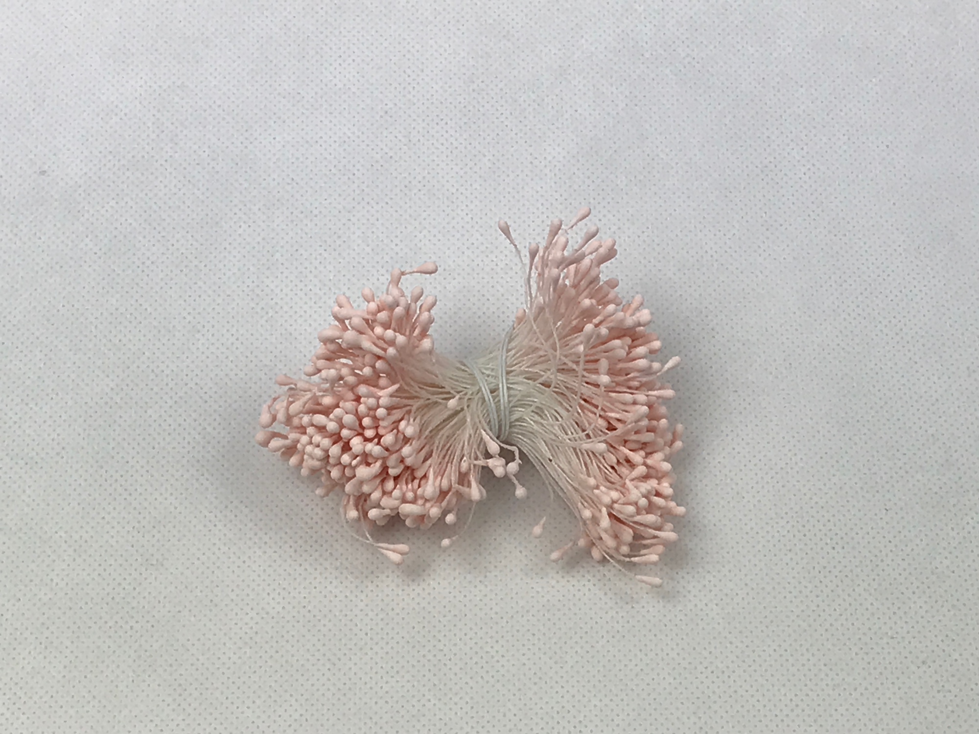 Blütenstempel hellpink