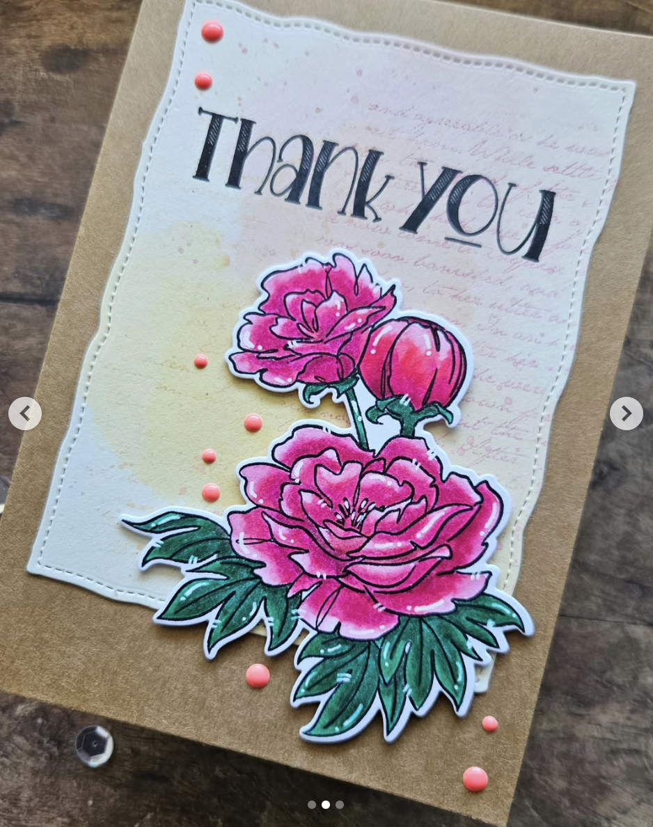 Nature Blooms Nature Blooms