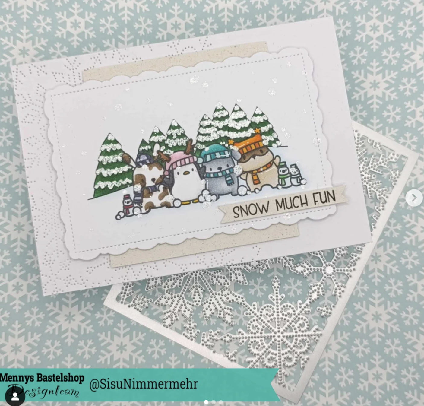 Spaß im Schnee Spaß im Schnee