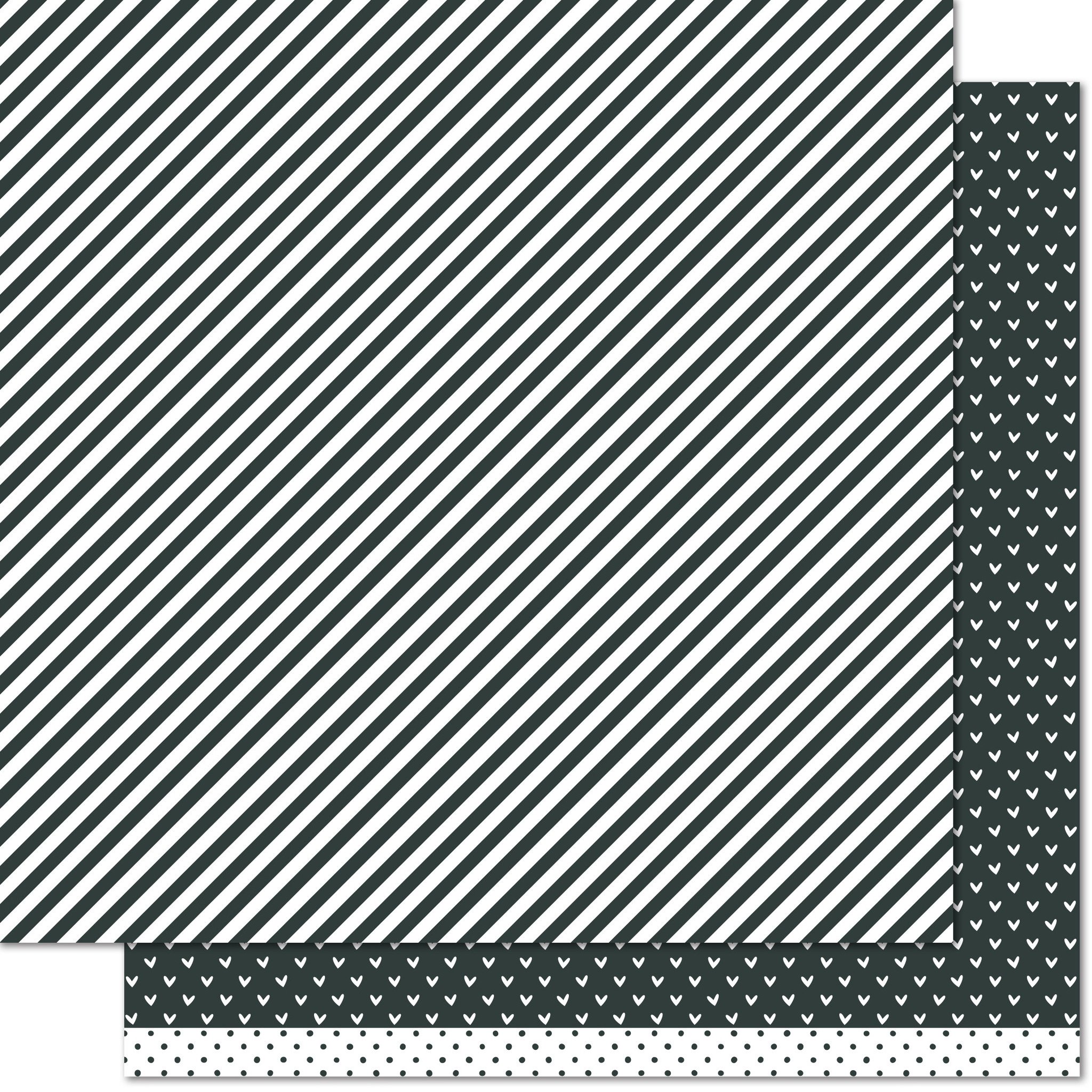 Baby Skunk Line Dance Baby Skunk Line Dance