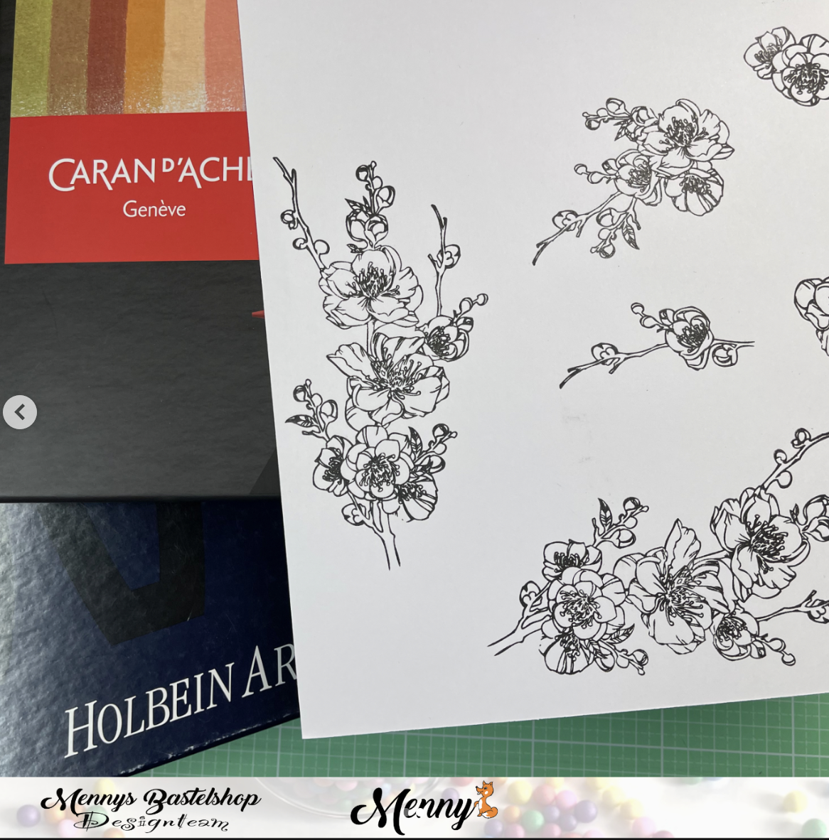 Vergleich Caran d'Ache Luminance und Holbein Colored Pencil - Mit Video Teil 3