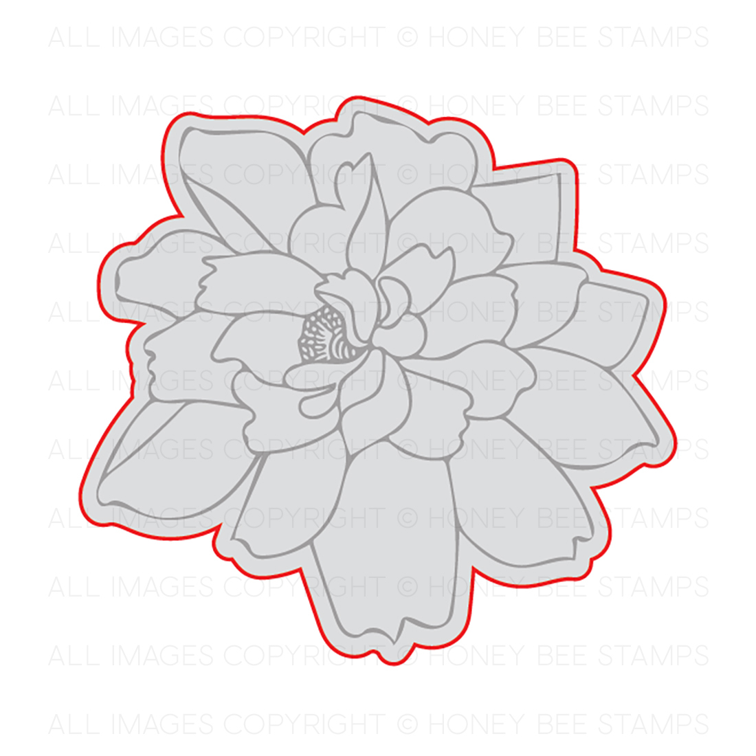 Lotus Blossom - Honey Cuts