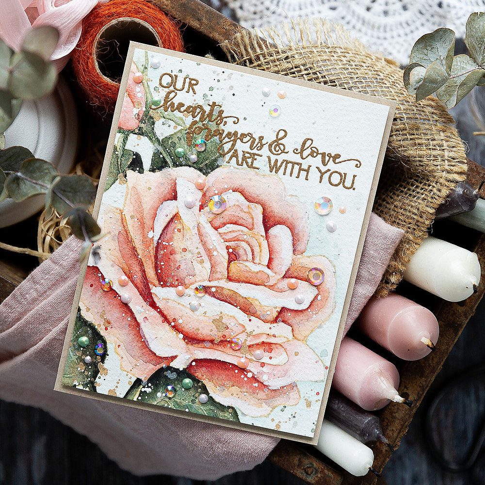 Sympathy Rose - Big & Bold