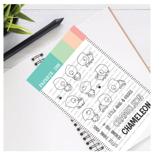 A Chameleon A Chameleon