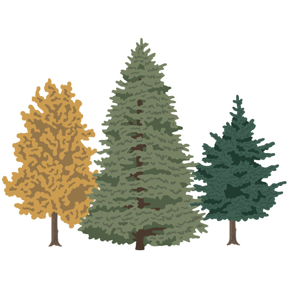 Trees - Lovely Layers - Honey Cuts Trees - Lovely Layers - Honey Cuts