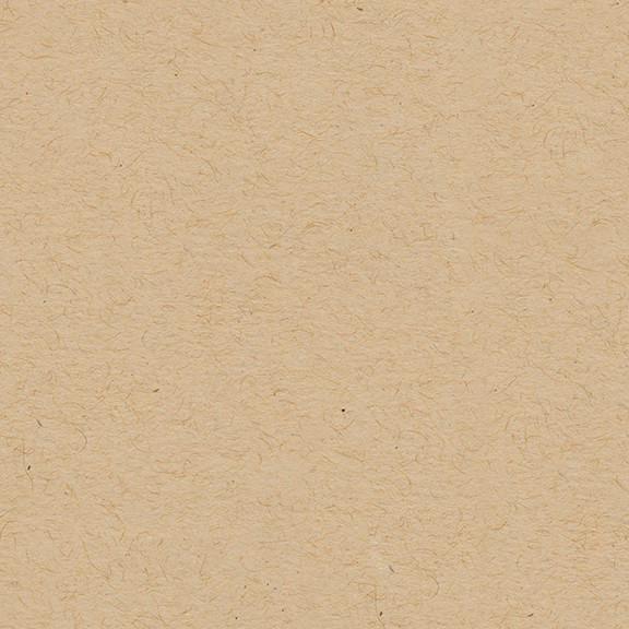 Kraft - Classic Cardstock - My Mind´s Eye