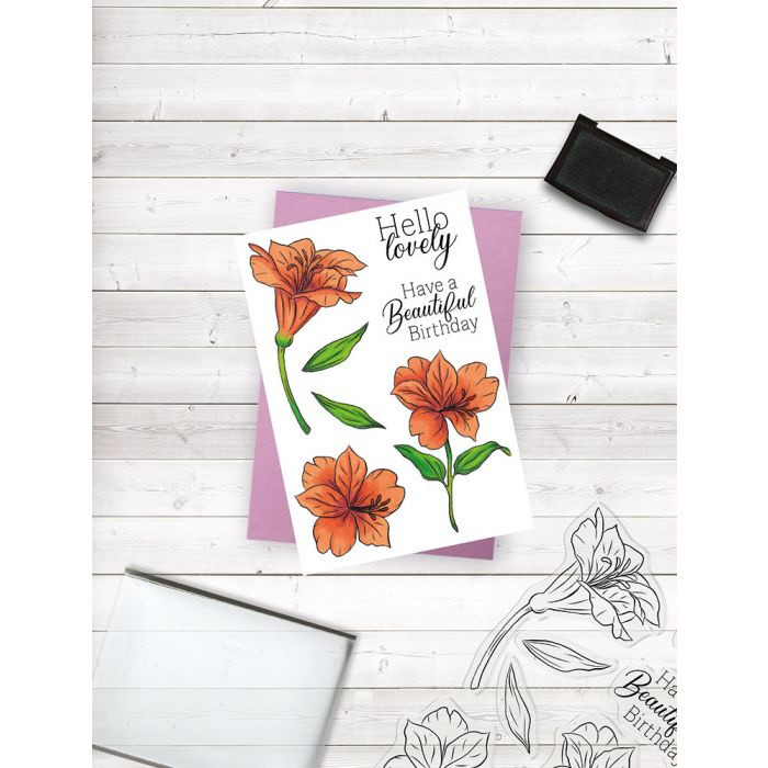 Hello Lovely Hello Lovely