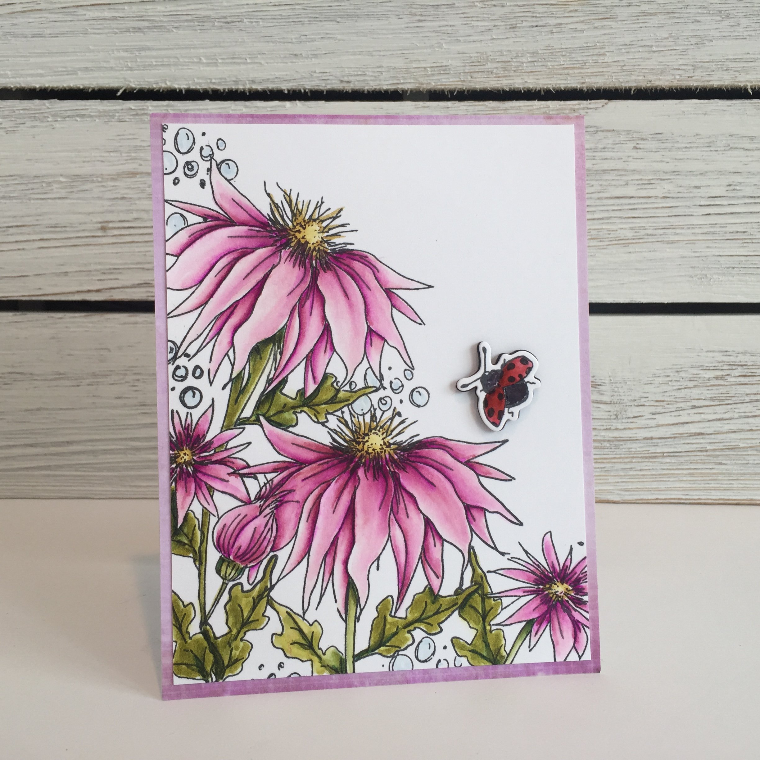 Blooming Bugs - Stamp and Cut Blooming Bugs - Stamp and Cut