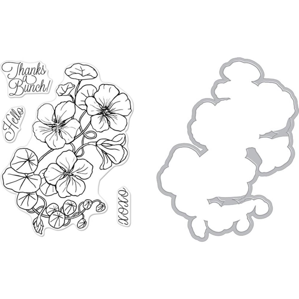 Nasturtium - Hero Arts Clear Stamp & Die Combo