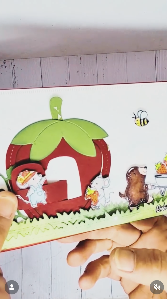 Stiched Strawbeery Frame 