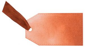 Sun-lit Cedar - Colour Cloud Blending Ink - Cosmic Shimmer