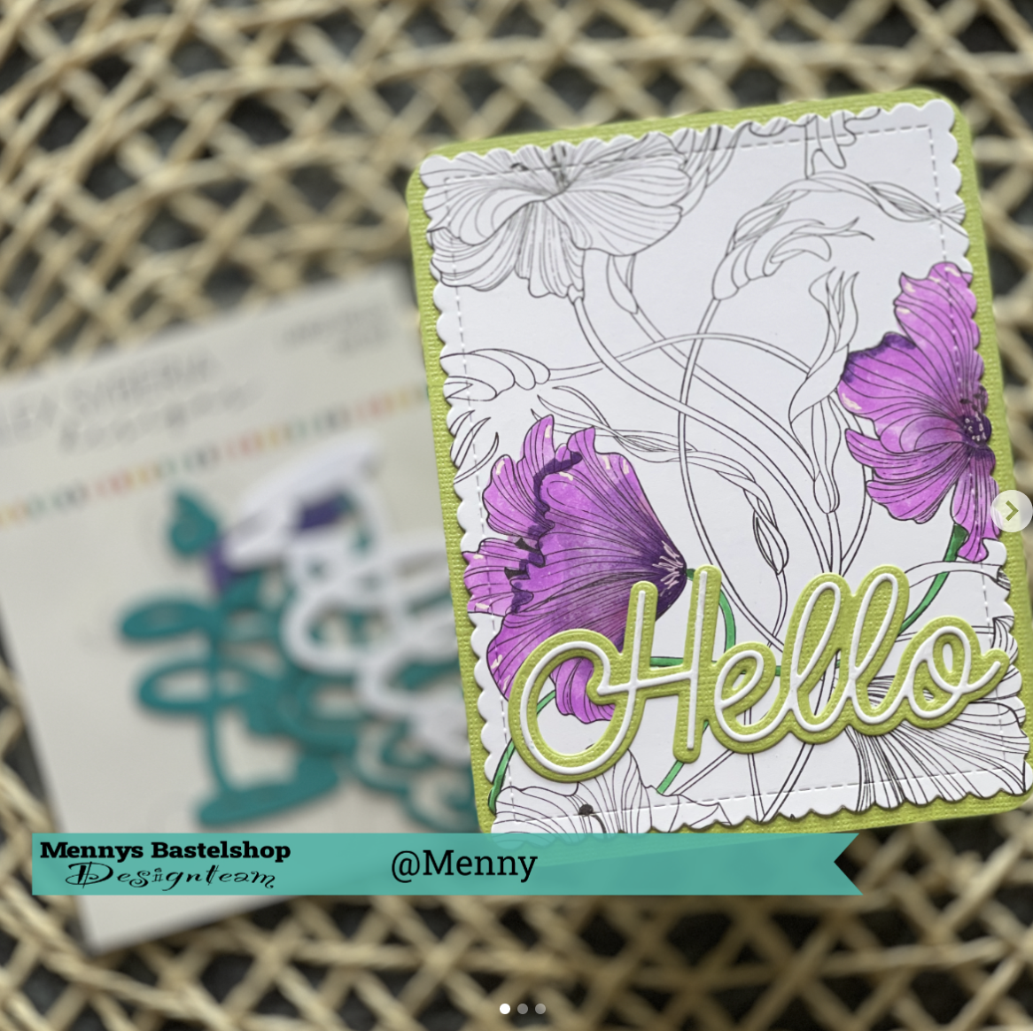 Hibiscus Background  Hibiscus Background