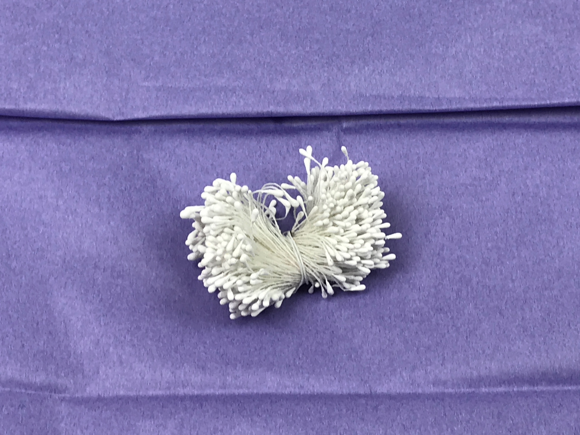 Blütenstempel weiß