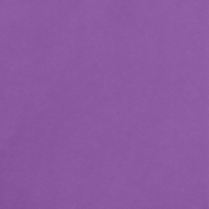 Smooth Cardstock - Grape