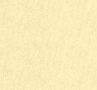 Smooth Cardstock - Vanilla