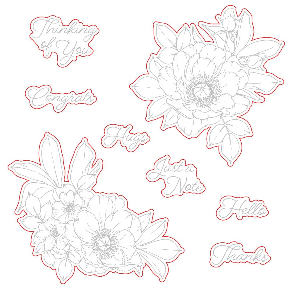 Perfect Peonies - Honey Cuts