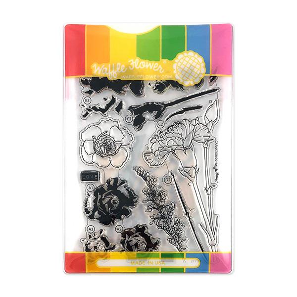 Carnations - Combo Carnations - Combo