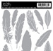Feathers Jenni Bowlin