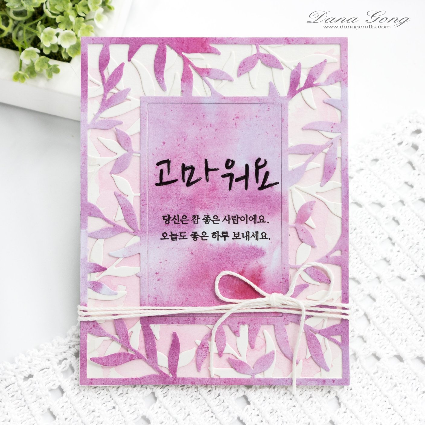 Thanks Around the World