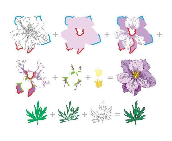 Build-A-Flower: Larkspur incl. Stanzen