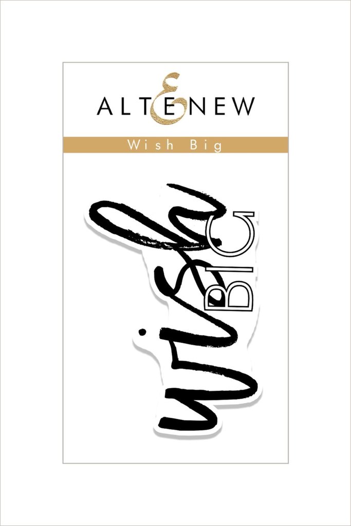 Wish Big