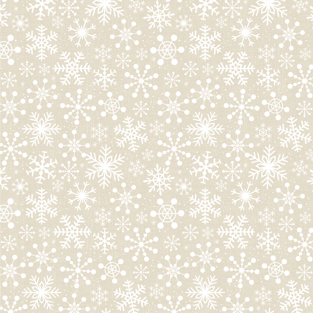 Winter Blizzard - Celebrate Winter - Echo Park