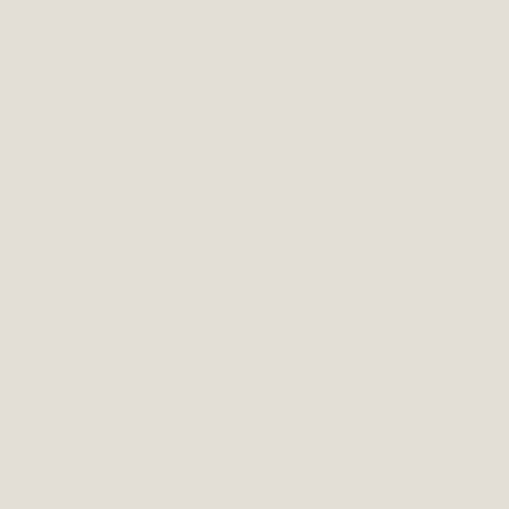 Almost Gray - Classic Cardstock - My Mind´s Eye