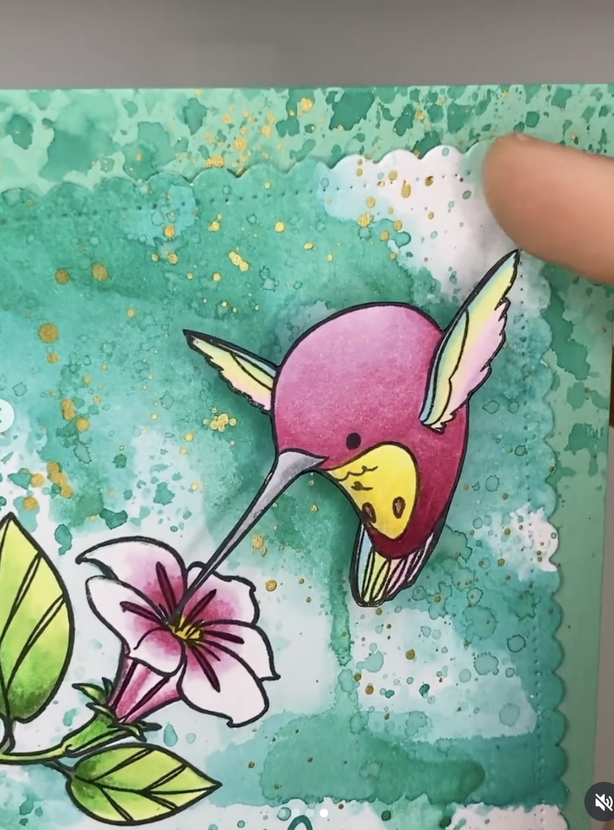 Colibrì mini Colibrì mini