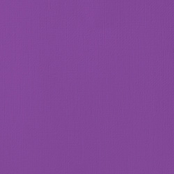 Textured Cardstock - Grape