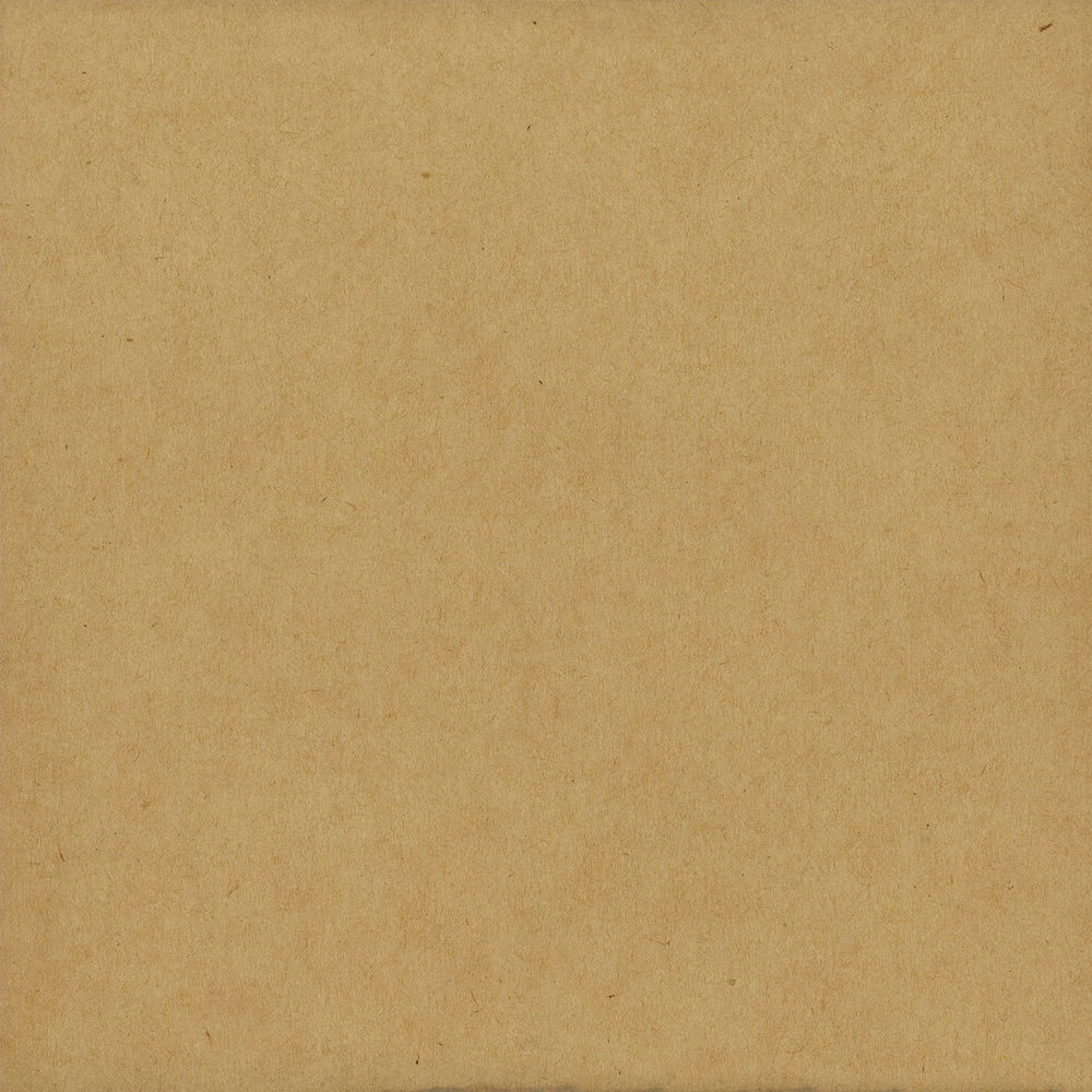 Designer Solids - Kraft/Dark Green - Echo Park Designer Solids - Kraft/Dark Green - Echo Park