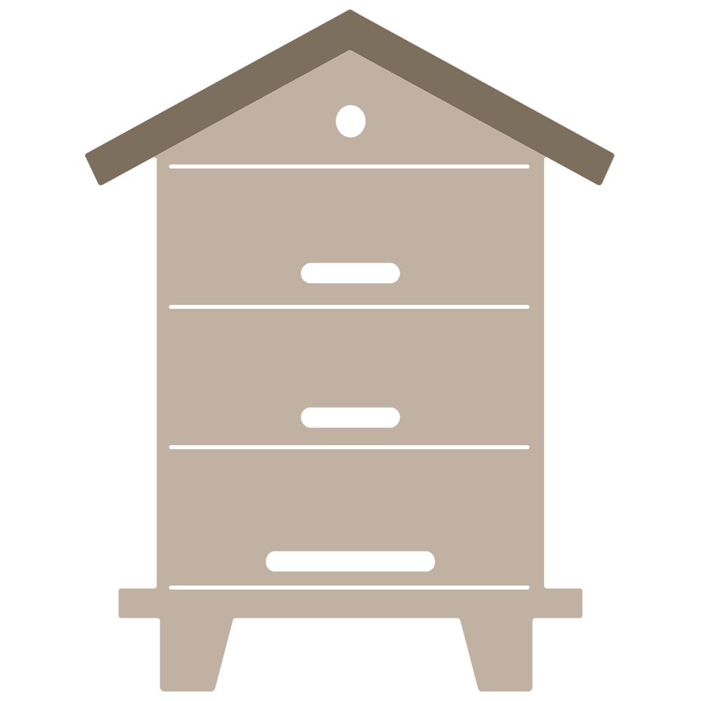 Bee Hive Box - Honey Cuts