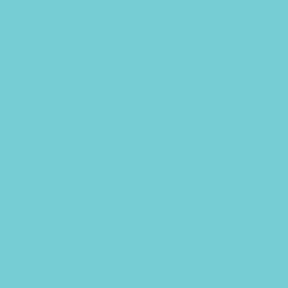 Chill Blue/Frosty Blue - Designer Solids - Echo Park Chill Blue/Frosty Blue - Designer Solids - Echo Park