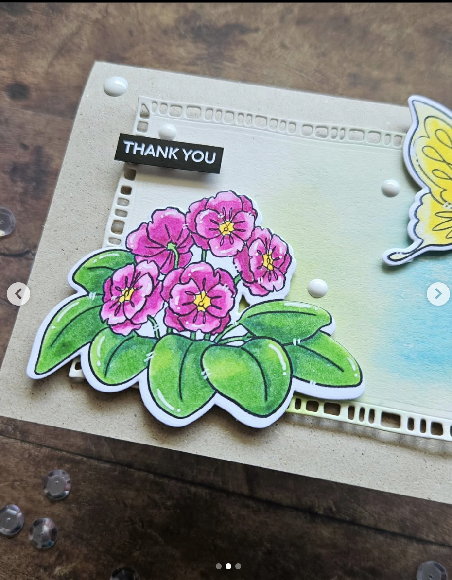 Nature blooms Nature blooms