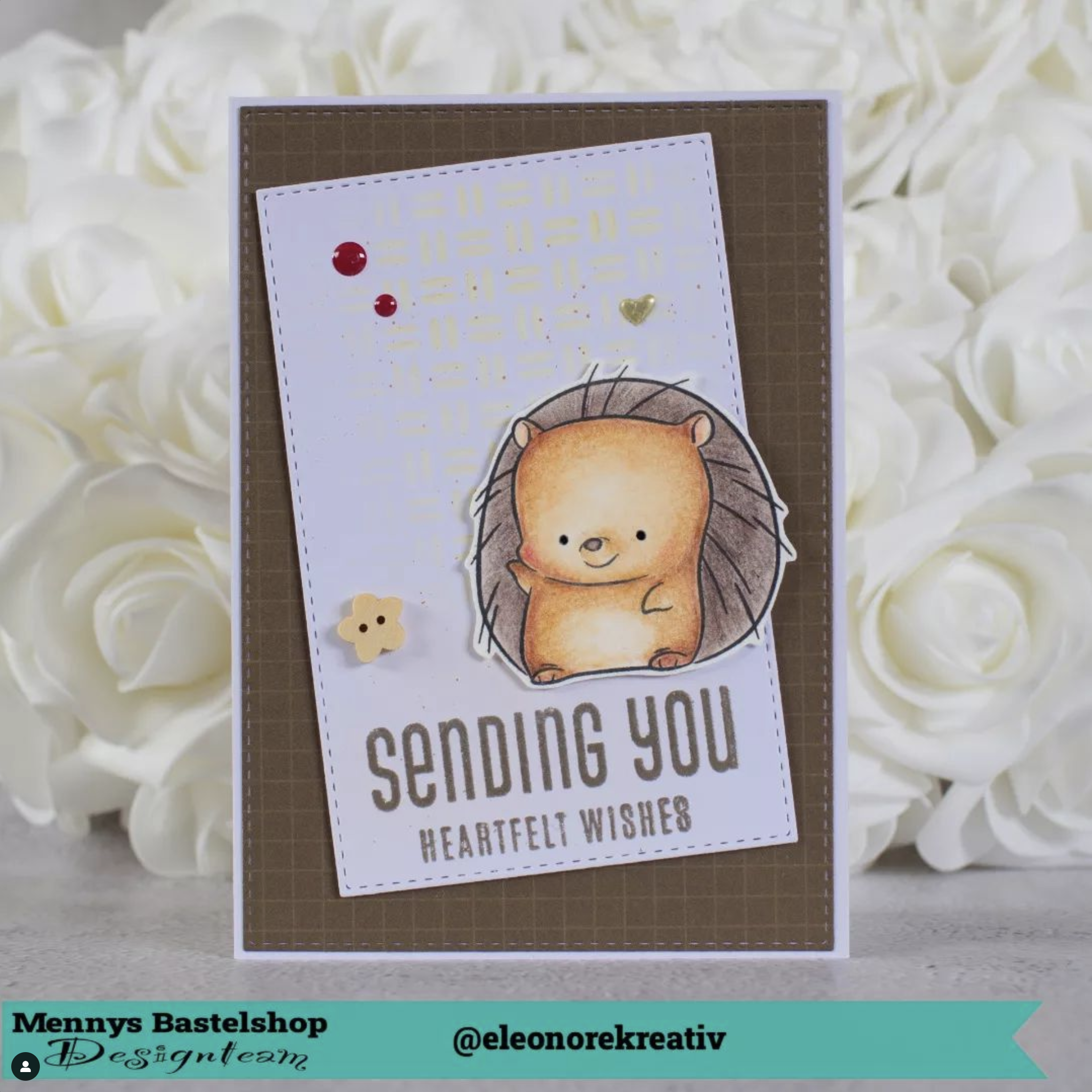 Kleiner Igel ganz groß! Kleiner Igel ganz groß!