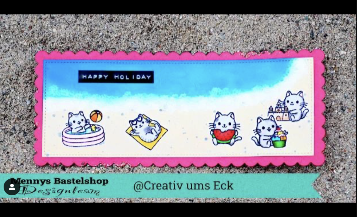 Katzen lieben Strand