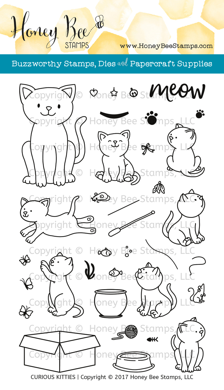 Curious Kitties Curious Kitties