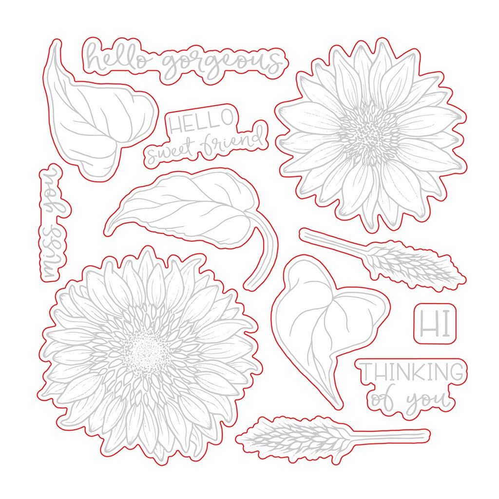 Sweet Sunflowers - Honey Cuts