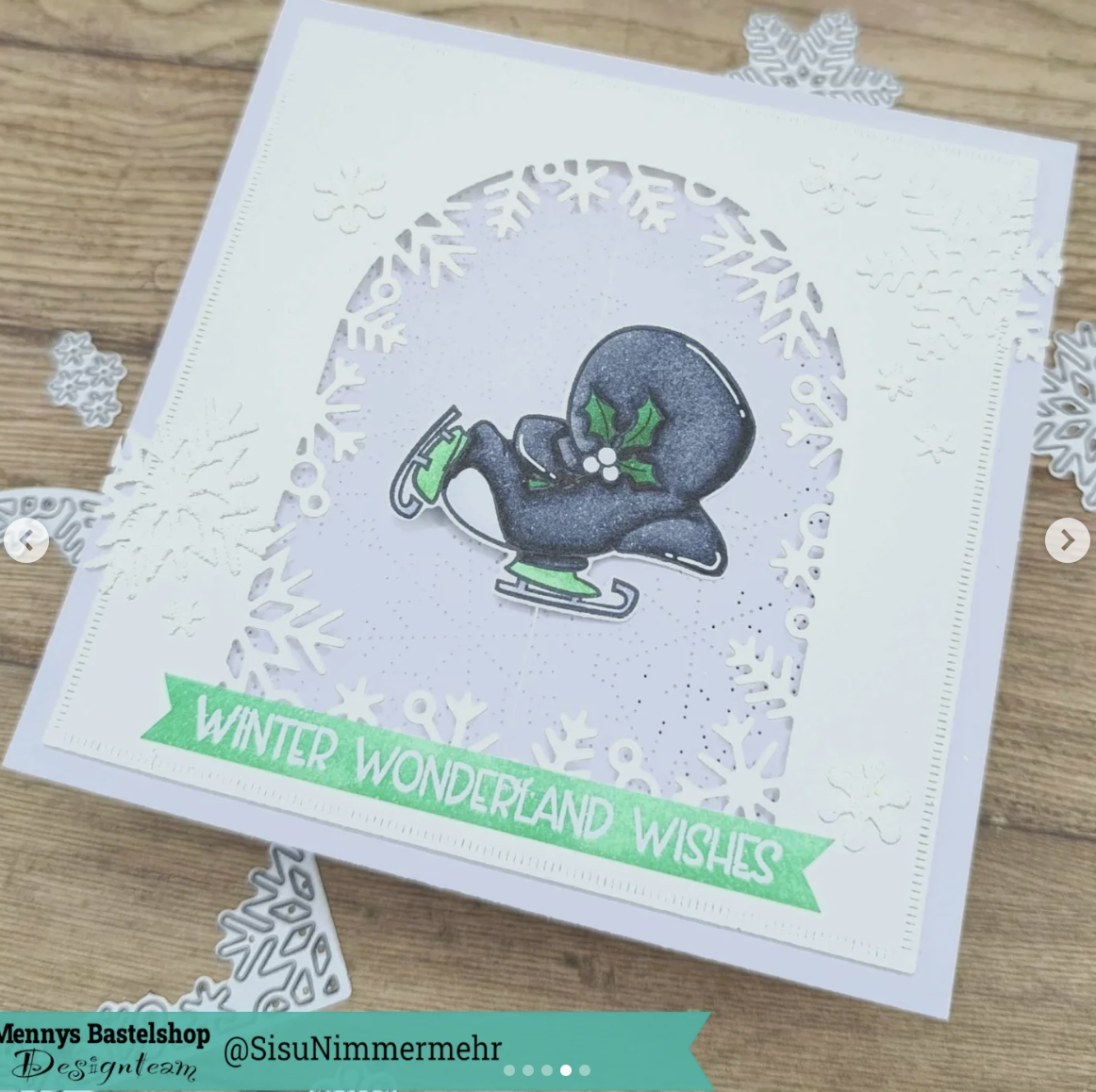 Pinguino Fronte Retro