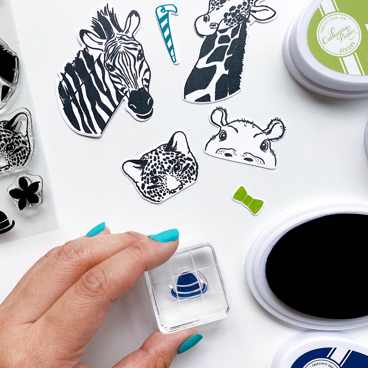 Take a Peek Take a Peek