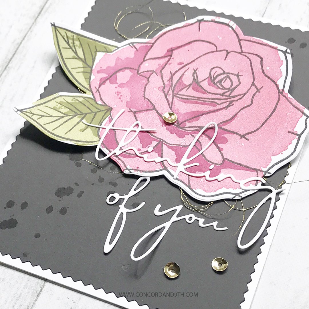 Painted Rose Painted Rose