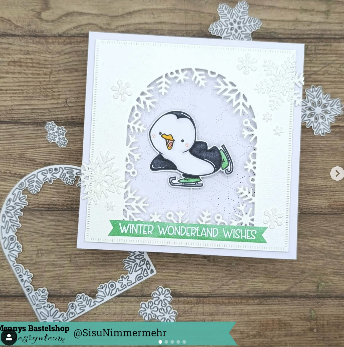 Pinguino Fronte Retro