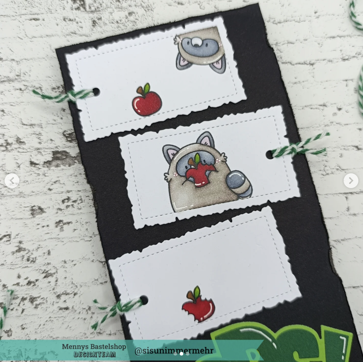 Playful Raccoons Playful Raccoons