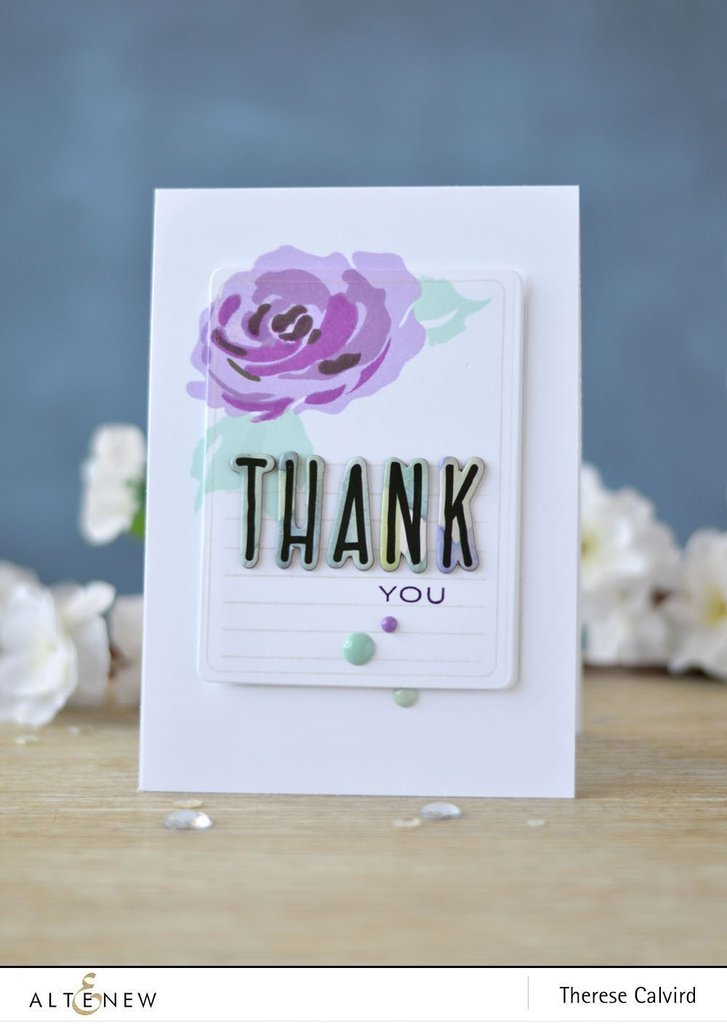 Story of Us Story of Us