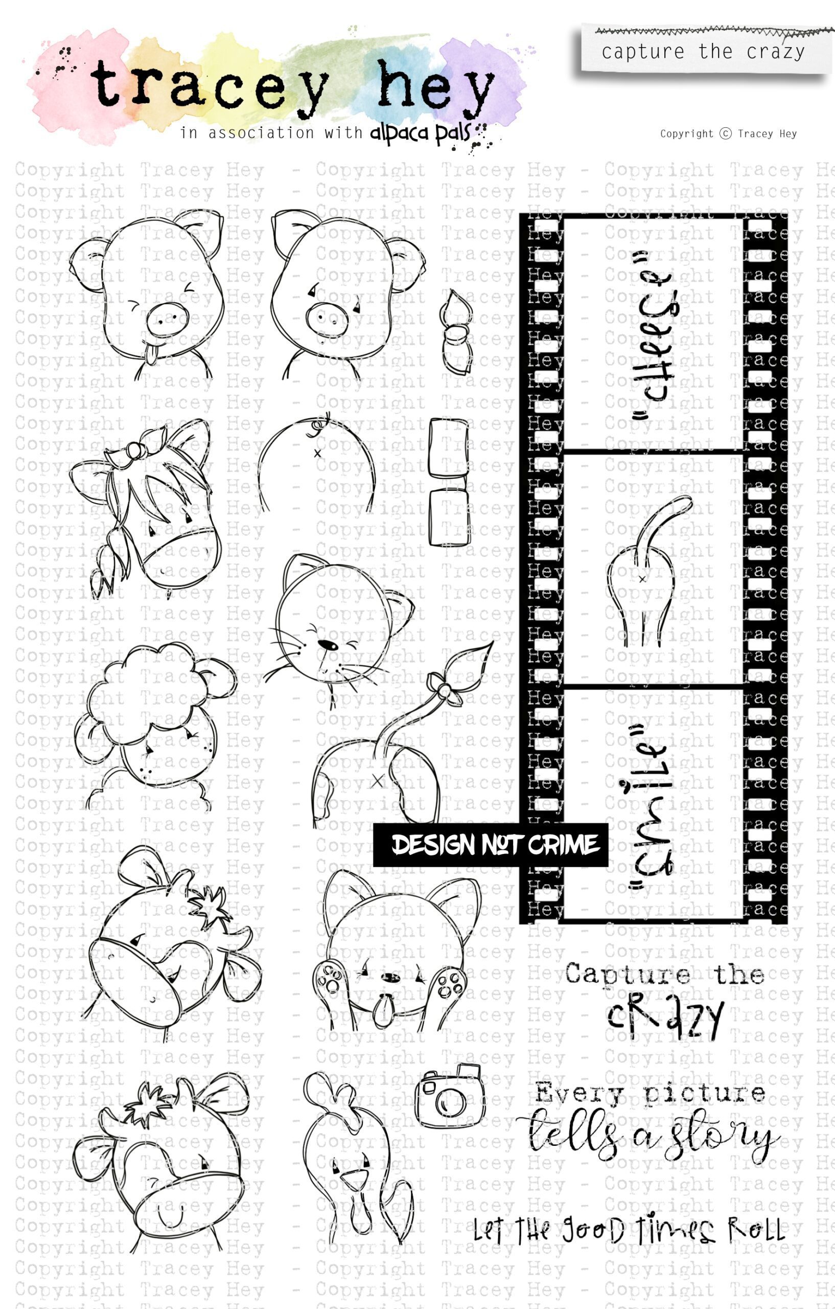 Capture the Crazy Capture the Crazy