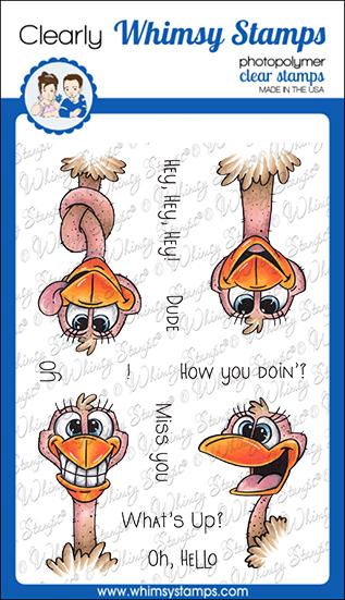Hey Ostrich