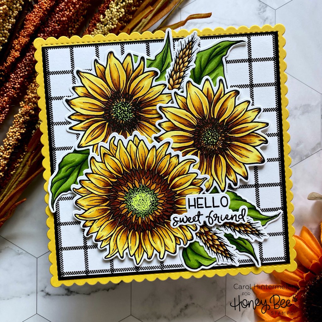 Farmhouse Check Background