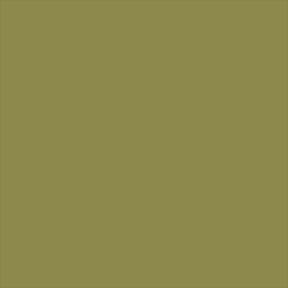 Coral/Green - Designer Solids - Coffee - Echo Park Coral/Green - Designer Solids - Coffee - Echo Park