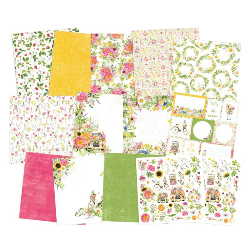 The Four Seasons - Summer - 12x12 Pack